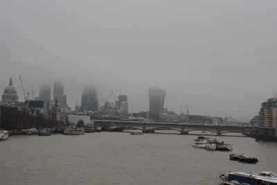 DSC_5824 (Large).JPG